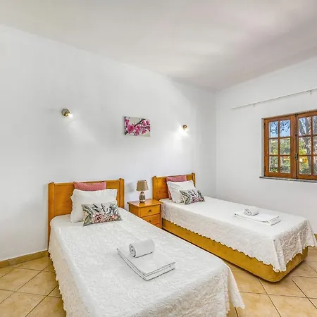 Casa Coelho By